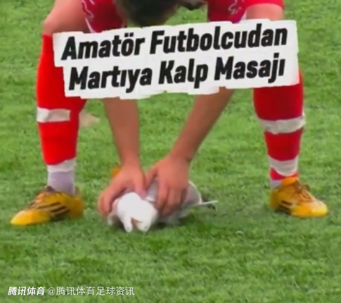 太牛了！门将开球将一只海鸥击落 队员心肺复苏按摩将其救活