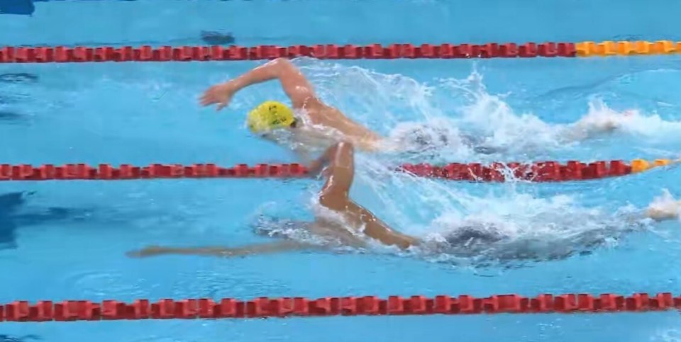 中国游泳公开赛：张展硕预赛第2入围200自决赛，潘展乐第7名晋级