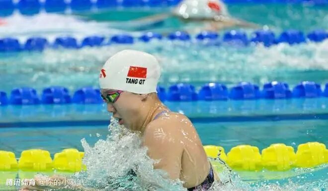 中国游泳公开赛高燃开赛：预赛唐钱婷刷新50蛙亚洲纪录 张展硕、潘展乐200自晋级决赛