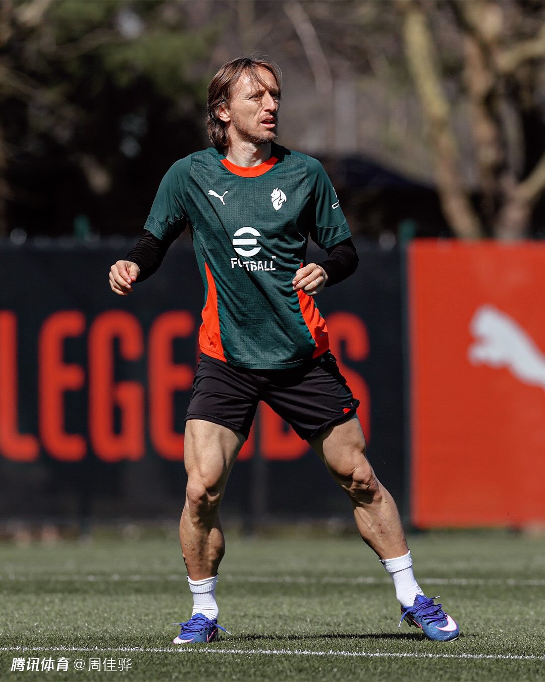 AC米兰VS都灵预计首发：菲尔克鲁格搭档普利希奇，拉比奥复出