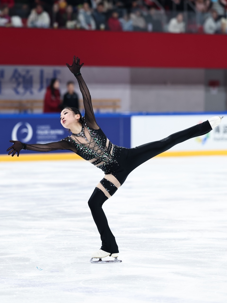 金书贤领跑花滑冠军赛女单短节目！张瑞阳紧随其后，金辰熹爆冷第三