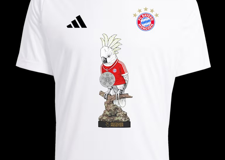 科普：拜仁冠军T恤上的鹦鹉，是什么来头？
