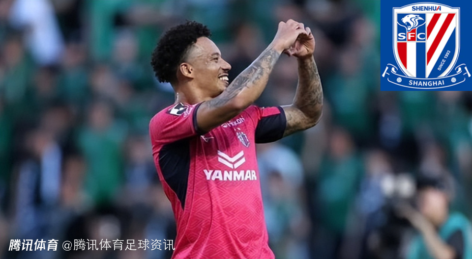 沪媒：申花新援盖伊将穿29号&拉唐披9号出战 李可等老将更换号码