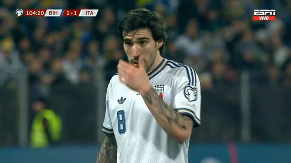 托纳利无缘世界杯更适合曼联引进！单场跑11公里如家常便饭，被视为后腰B费