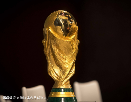 伊朗媒体：伊朗未决定退出世界杯 但要求FIFA和美国提供安全保障