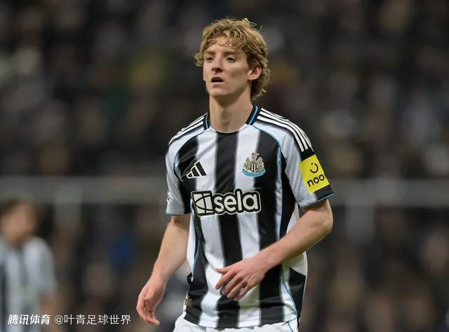 英超3大豪门盯上25岁戈登：欧冠10场轰10球 纽卡要价近1亿