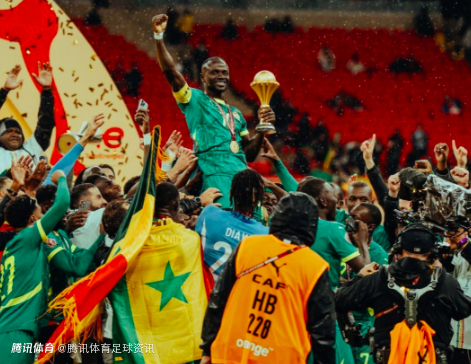 非足联主席：将修改规章 绝不再容忍罢赛行为 要重振非洲足球声誉