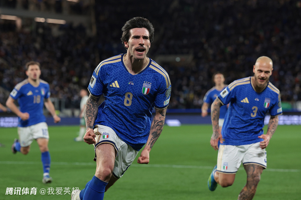 世界杯欧洲区4天后大结局！8队已淘汰，8强争最后4席：意大利获利好
